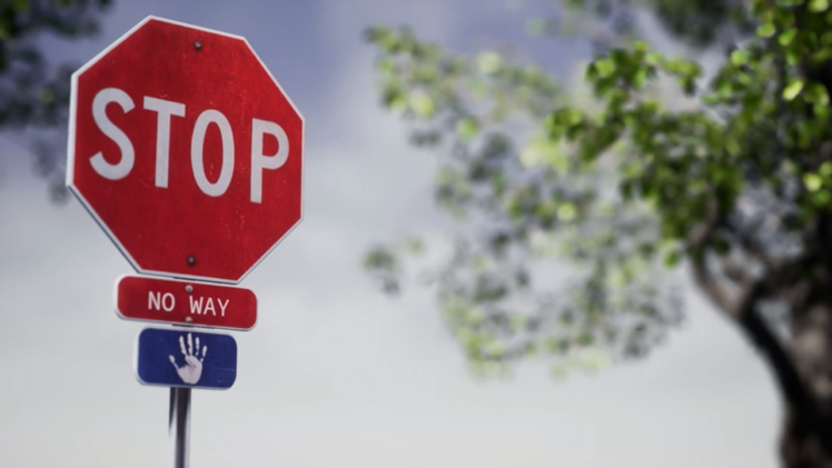 Obey stop signs and red lights